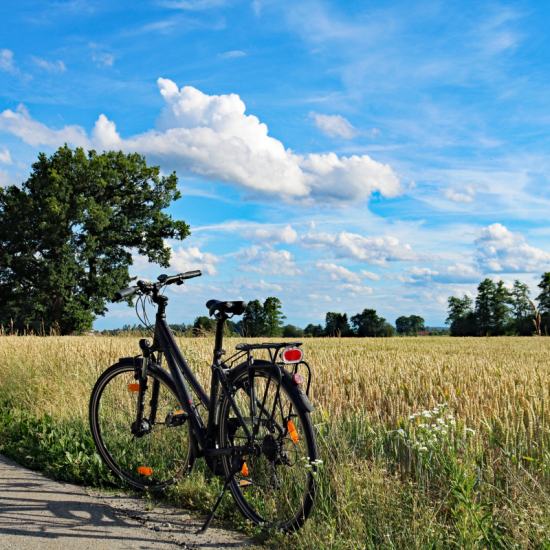 La deuxième vie des vélos