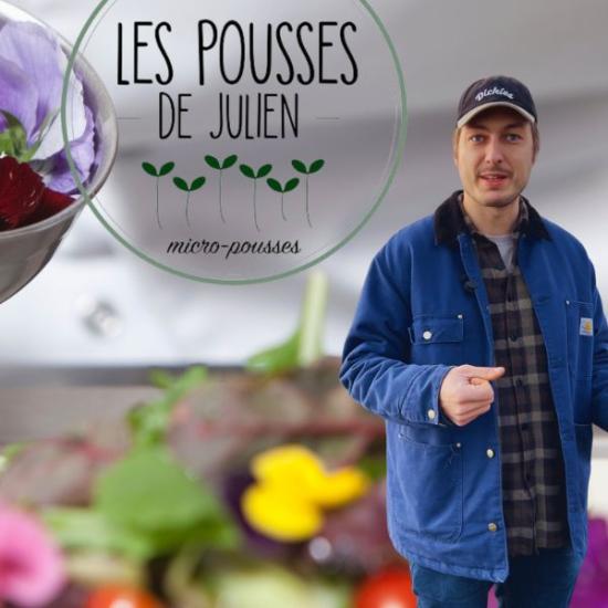 Les_pousses_de_julien